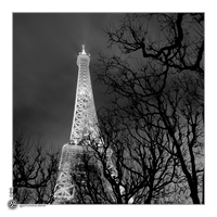 Tour Eiffel dans les arbres
